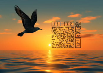 Minitutoriál: QR kódy jako umění: Jak vytvořit svůj vlastní?